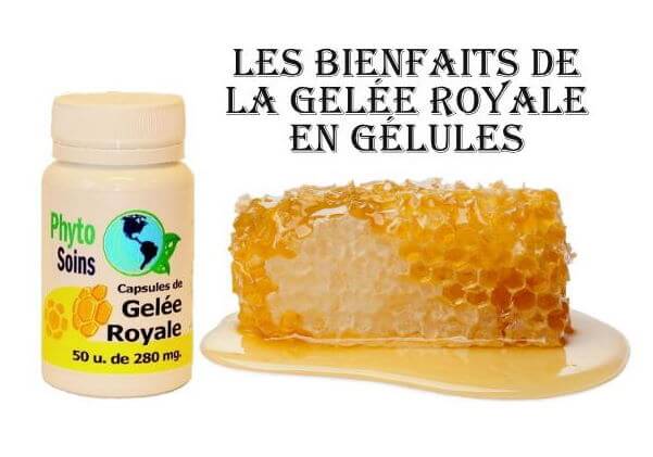 Gélules de gelée royale 